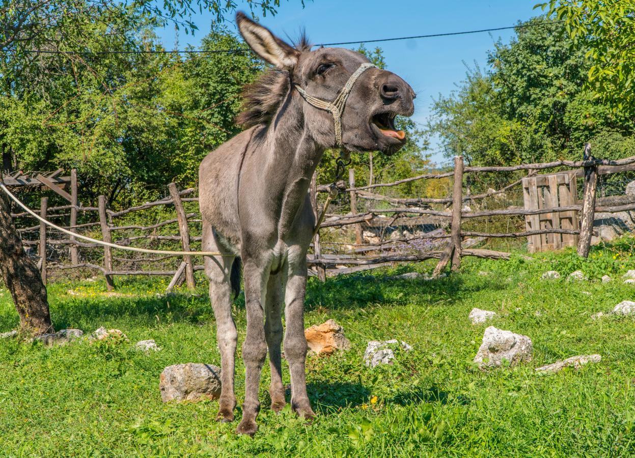 Agroturizam Duvancic - Konoba Dida Marka Drniš Eksteriør bilde